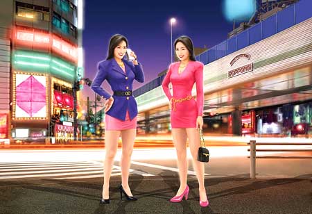  Hasegawa FC01 Coloured Plastic Model Kit